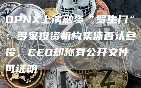 OPNX上演融资“罗生门”：多家投资机构集体否认参投，CEO却称有公开文件可证明
