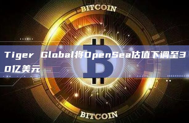 Tiger Global将OpenSea估值下调至30亿美元