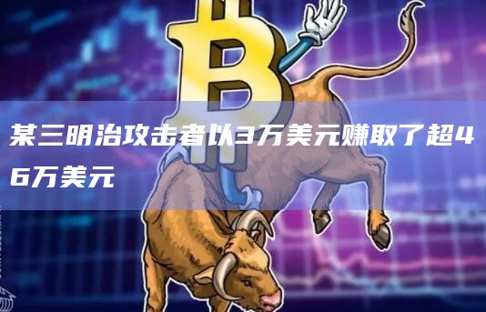 某三明治攻击者以3万美元赚取了超46万美元