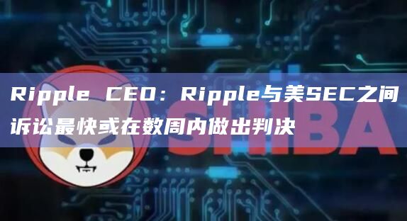 Ripple CEO：Ripple与美SEC之间诉讼最快或在数周内做出判决