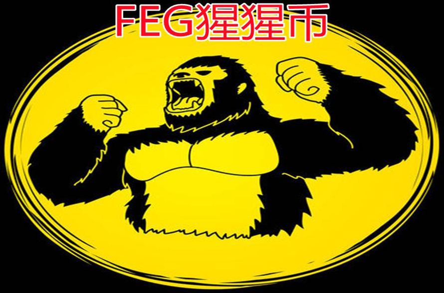 feg币是一种什么币（feg币怎么样）