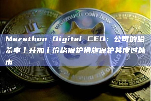 Marathon Digital CEO：公司的哈希率上升加上价格保护措施保护其度过熊市