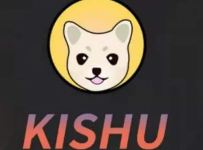 kishu币是什么（kishu币有哪些特点优势）