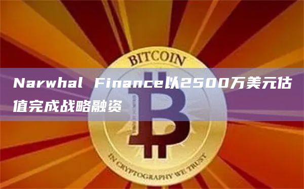 Narwhal Finance以2500万美元估值完成战略融资