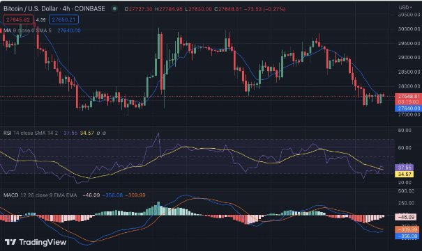 比特币最新价格今日（比特币最新价格今日走势）