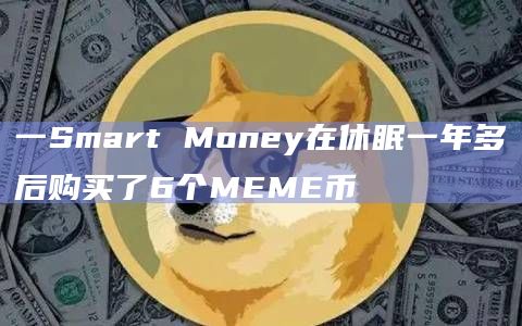 一Smart Money在休眠一年多后购买了6个MEME币