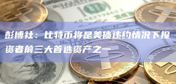 彭博社：比特币将是美债违约情况下投资者前三大首选资产之一
