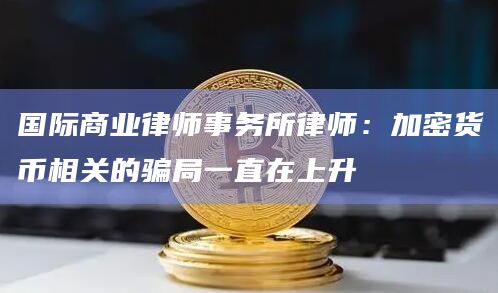 国际商业律师事务所律师：加密货币相关的骗局一直在上升