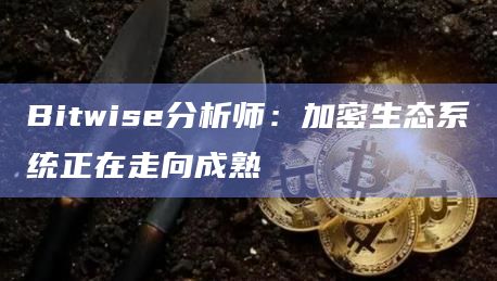 Bitwise分析师：加密生态系统正在走向成熟