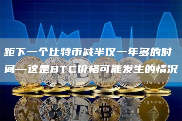 距下一个比特币减半仅一年多的时间—这是BTC价格可能发生的情况