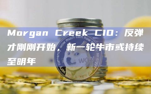 Morgan Creek CIO：反弹才刚刚开始，新一轮牛市或持续至明年