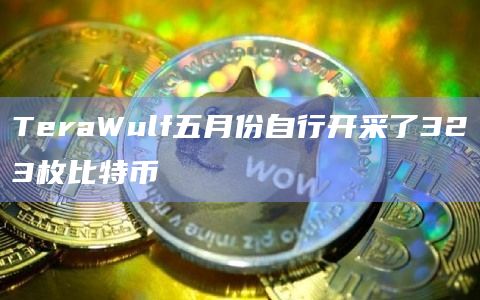 TeraWulf五月份自行开采了323枚比特币