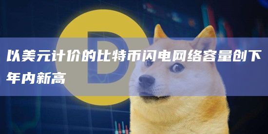 以美元计价的比特币闪电网络容量创下年内新高