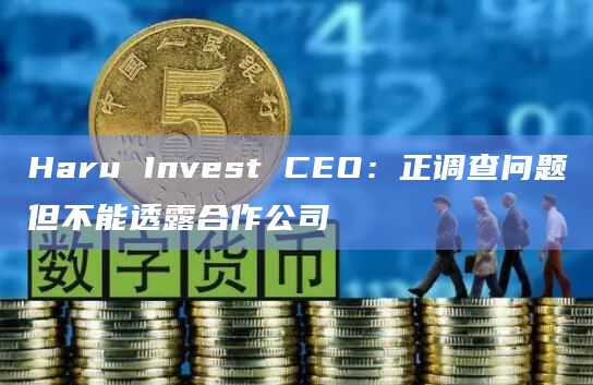 Haru Invest CEO：正调查问题但不能透露合作公司