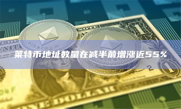 莱特币地址数量在减半前增涨近55%