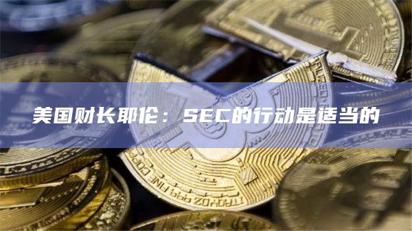 美国财长耶伦：SEC的行动是适当的
