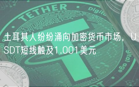 土耳其人纷纷涌向加密货币市场，USDT短线触及1.001美元