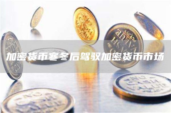 加密货币寒冬后驾驭加密货币市场