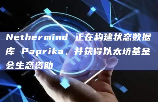 Nethermind 正在构建状态数据库 Paprika，并获得以太坊基金会生态资助