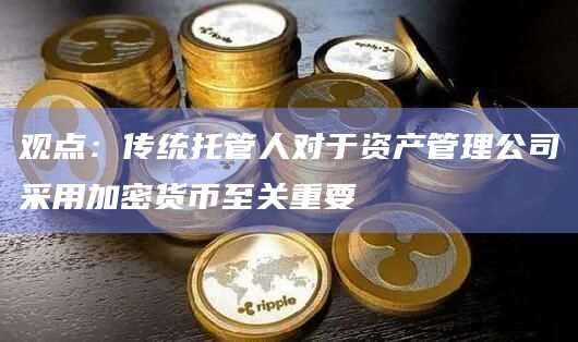 观点：传统托管人对于资产管理公司采用加密货币至关重要