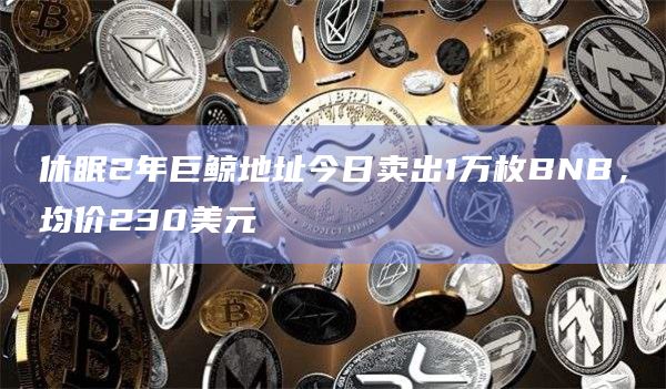 休眠2年巨鲸地址今日卖出1万枚BNB，均价230美元