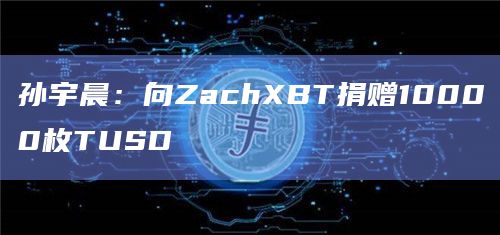 孙宇晨：向ZachXBT捐赠10000枚TUSD