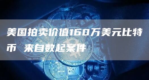 美国政府拍卖涉案的219枚比特币