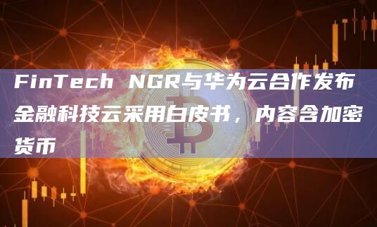 FinTech NGR与华为云合作发布金融科技云采用白皮书，内容含加密货币