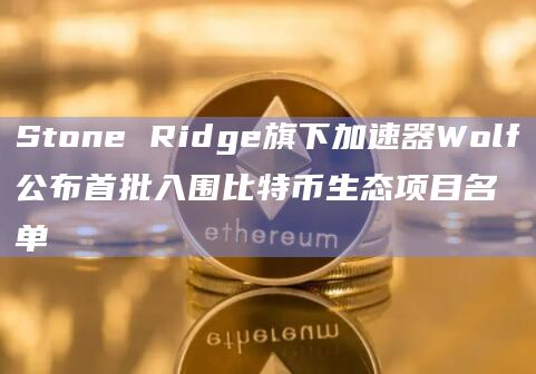 Stone Ridge旗下加速器Wolf公布首批入围比特币生态项目名单