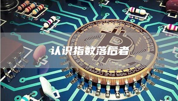 认识指数落后者