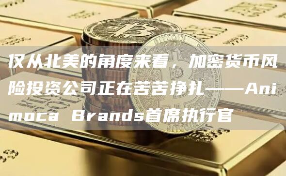 仅从北美的角度来看，加密货币风险投资公司正在苦苦挣扎——Animoca Brands首席执行官