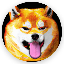 DNKY币