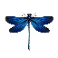 DRFLY币
