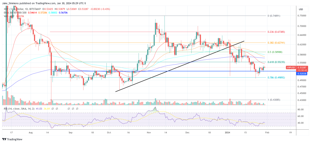 专家解释为何Ripple首次公开募股前股价可能上涨2000%