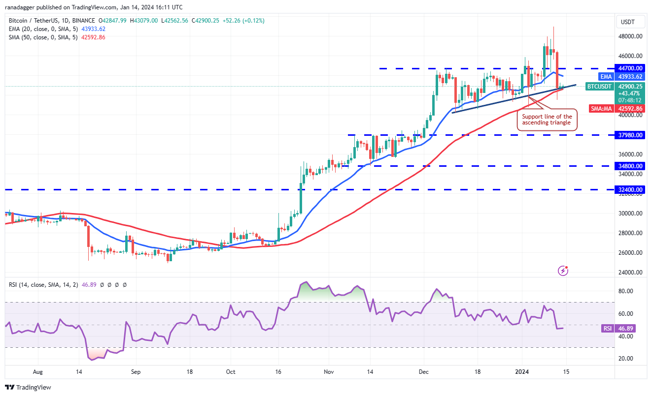 现货ETF获批后，比特币价格暴跌，但ICP、TIA、MNT、SEI和山寨币反弹