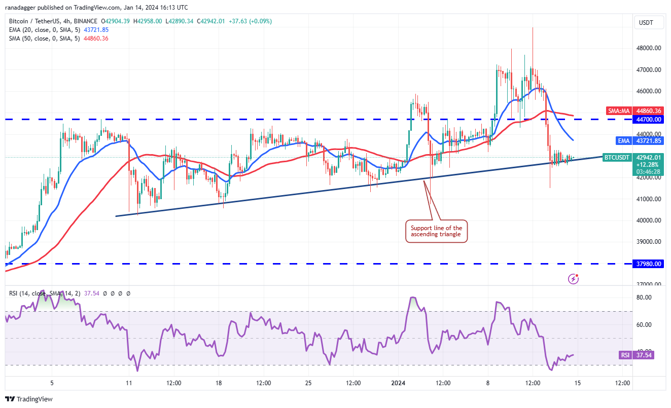 现货ETF获批后，比特币价格暴跌，但ICP、TIA、MNT、SEI和山寨币反弹