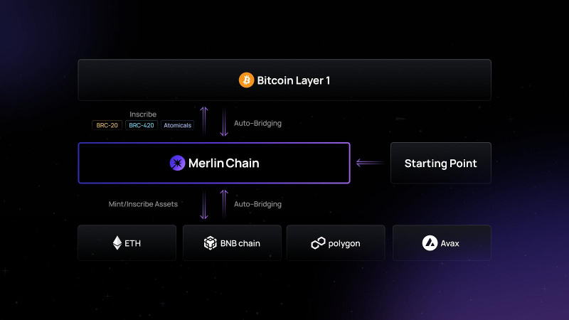 释放比特币的潜力:引入原生L2解决方案Merlin Chain插图7 释放比特币的潜力:引入原生L2解决方案Merlin Chain
