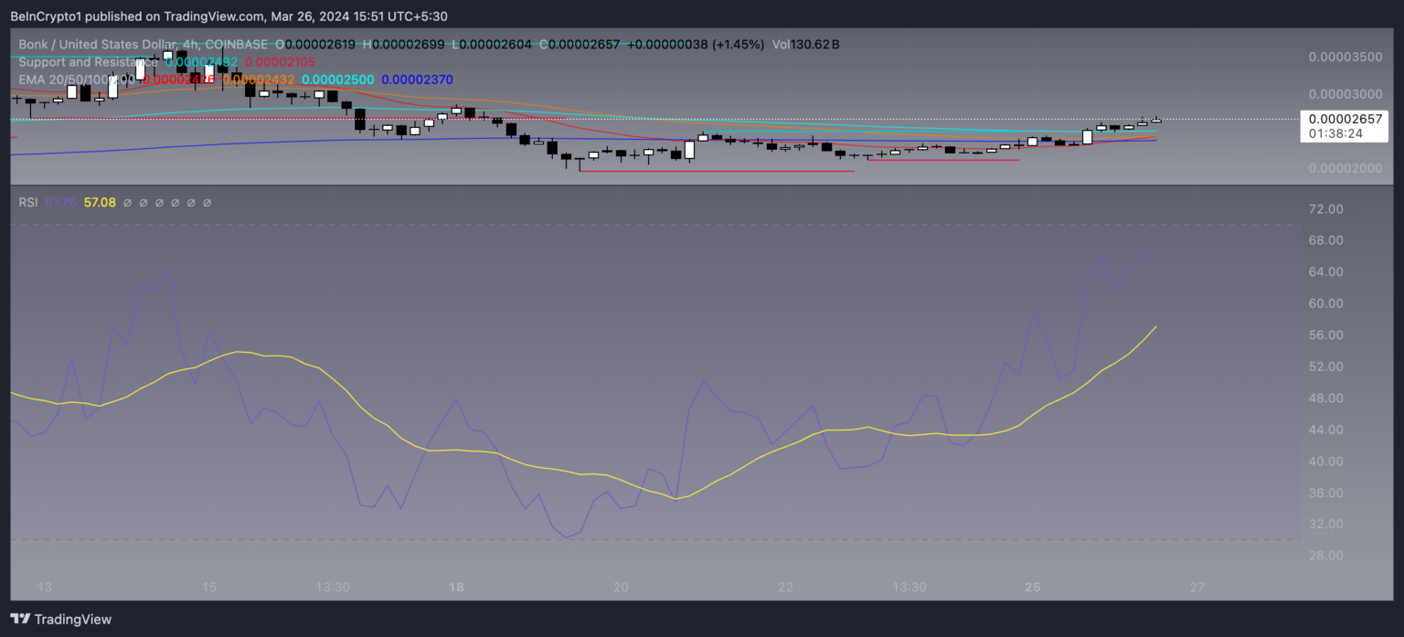 根据这些指标，BONK币价格上涨了80%