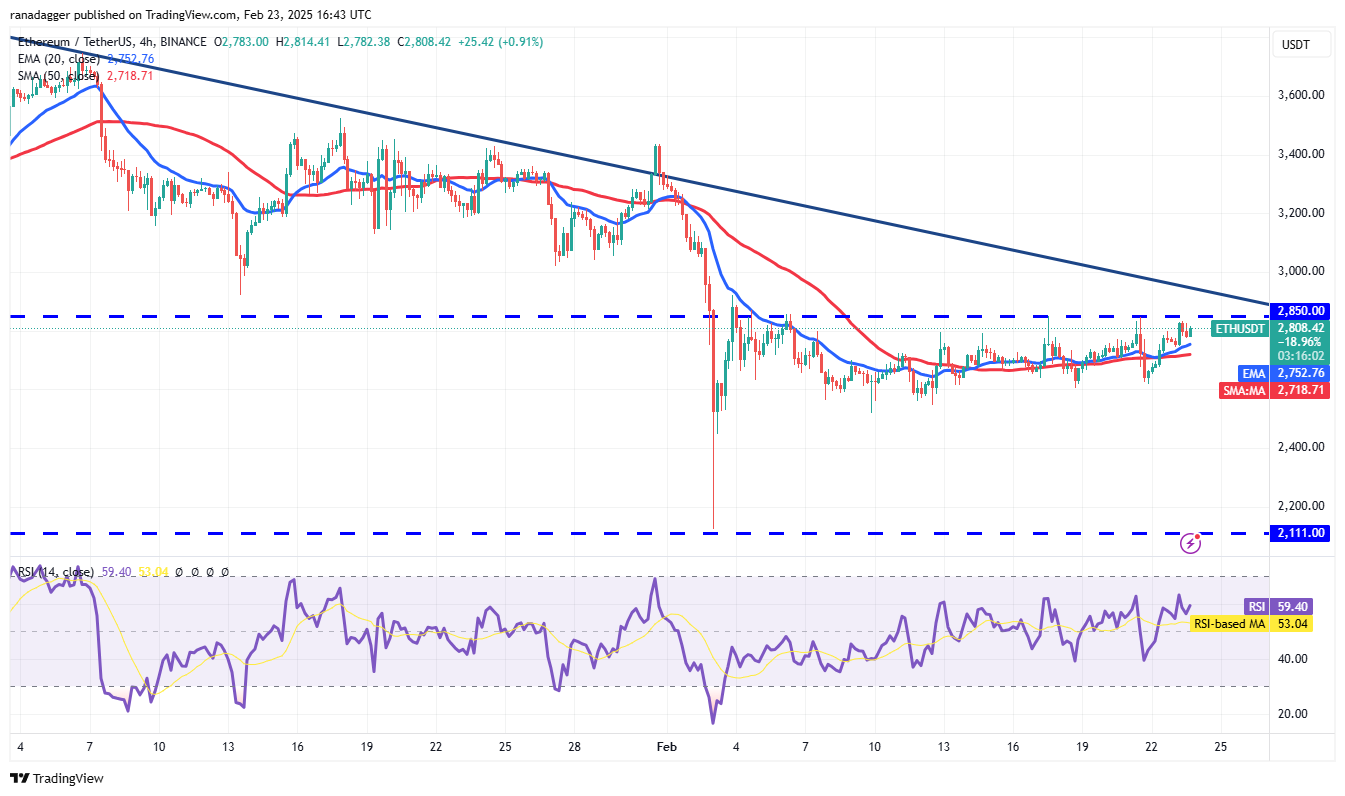 比特币行情缺乏动力，但ETH、BNB、XMR和TAO前景看好