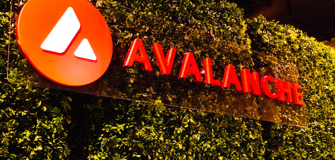 渣打银行表示Avalanche的AVAX到2029年可能增长10倍插图 渣打银行表示Avalanche的AVAX到2029年可能增长10倍