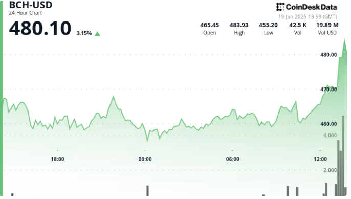 比特币现金价格飙升至480美元,24小时交易量飙升22%插图 比特币现金价格飙升至480美元,24小时交易量飙升22%