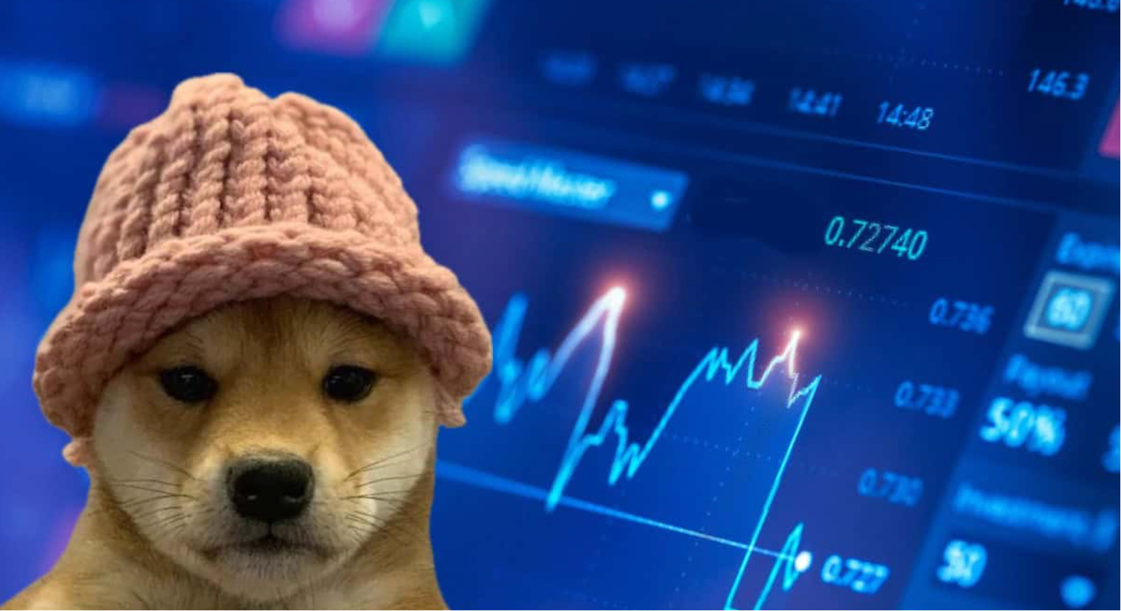 Floki币价格下跌 13%,但分析师仍看好其长期走势插图 Floki币价格下跌 13%,但分析师仍看好其长期走势